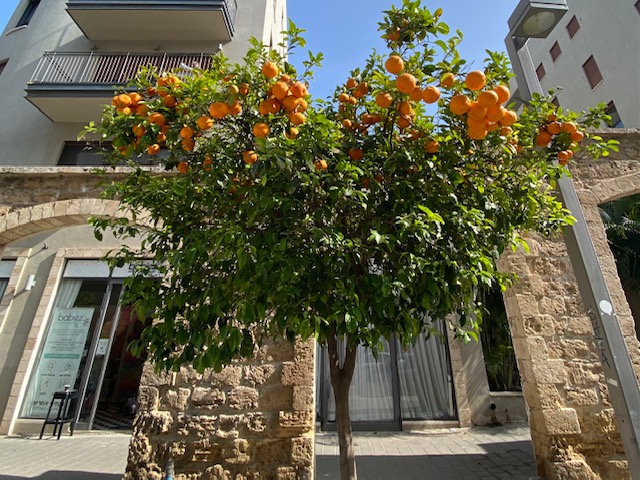 Straat in Jaffa