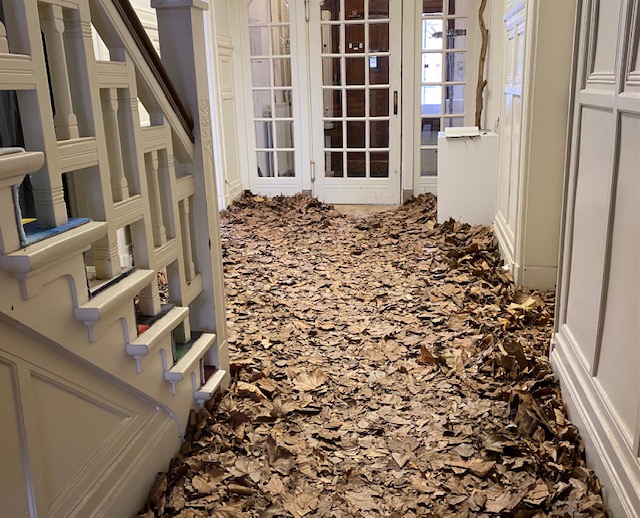Gang met bladeren bedekt als onderdeel van een totaalinstallatie van Roos Vogels